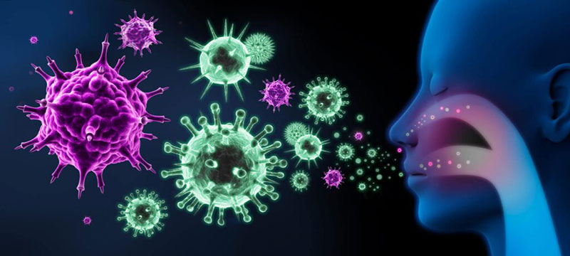 vad-är-virus